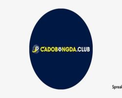 ca-do-bong-da-tai-cadobongda-club